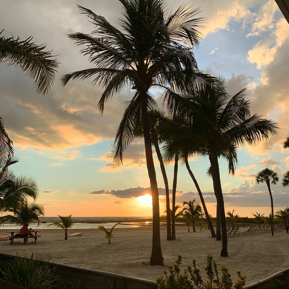 Meet your Posher, Sabrina - Picture 1 of 1